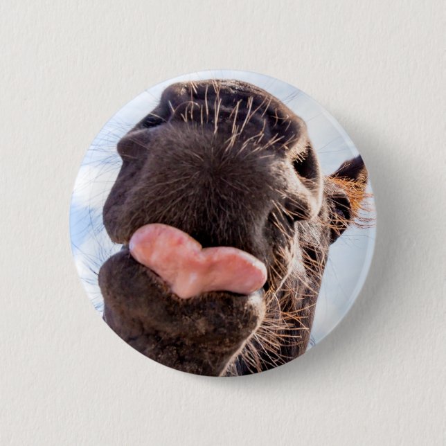 Badge Rond 5 Cm Funny Horse Lick Photographie (Devant)