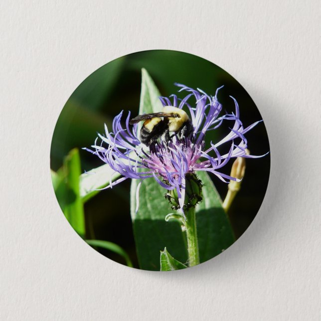 Badge Rond 5 Cm gaffez l'abeille, sur un bouton de célibataire (Devant)