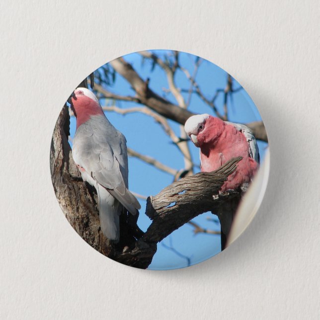 Badge Rond 5 Cm Galah (Devant)
