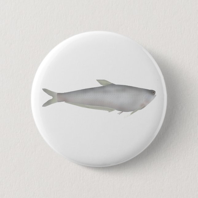 Badge Rond 5 Cm Gangetic Hairfin Anchovy  (Devant)