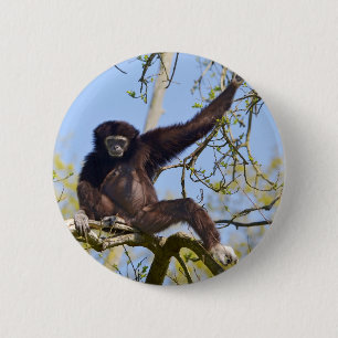 Badge Rond 5 Cm Gibbon à main blanche dans l'arbre