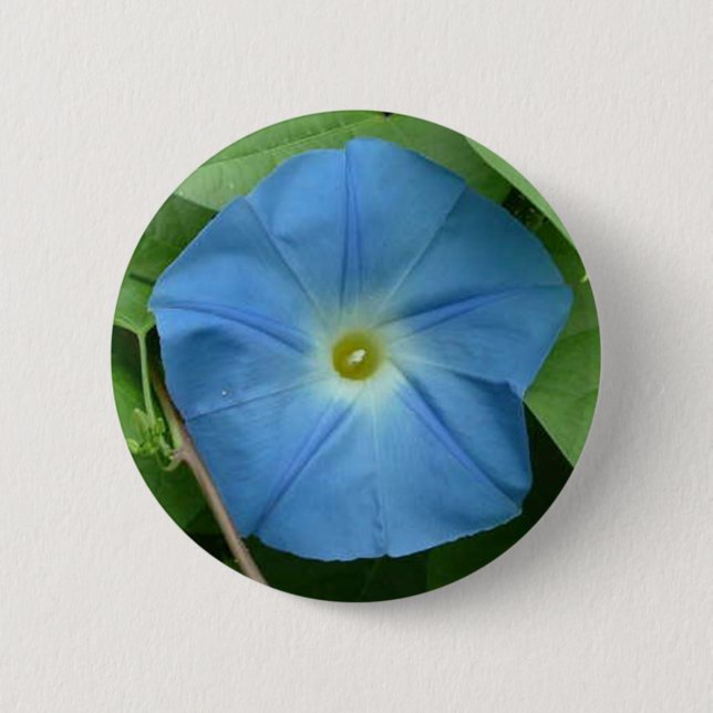 Badge Rond 5 Cm Gloire de matin bleue merveilleuse (Devant)