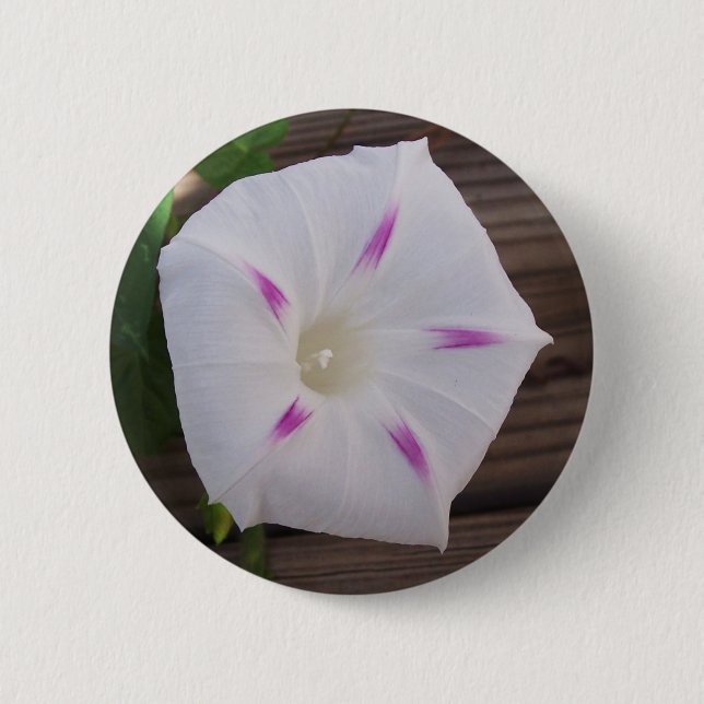 Badge Rond 5 Cm Glory White du matin (Devant)
