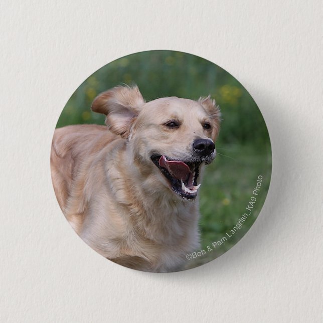 Badge Rond 5 Cm Golden retriever courant 1 (Devant)