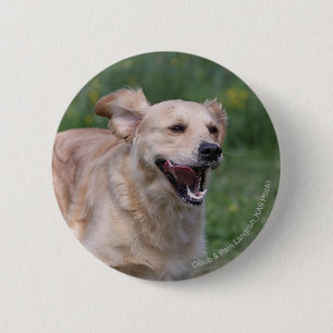 Badge Rond 5 Cm Golden retriever courant 1