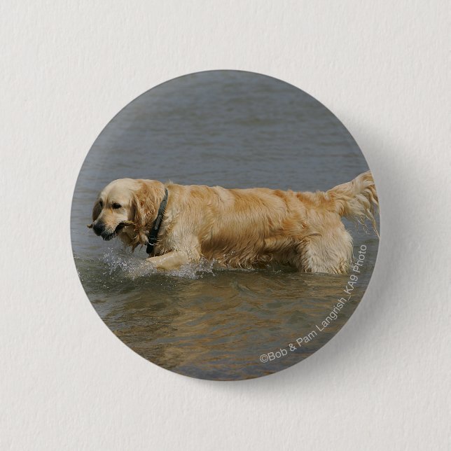 Badge Rond 5 Cm Golden retriever dans l'eau (Devant)