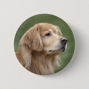Badge Rond 5 Cm Golden retriever en plan rapproché