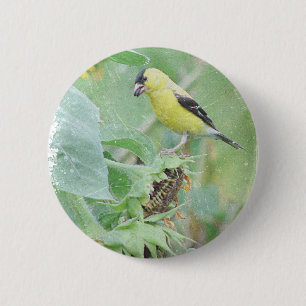 Badge Rond 5 Cm Goldfinch Grunge