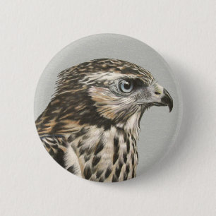 Badge Rond 5 Cm Goshawk immature