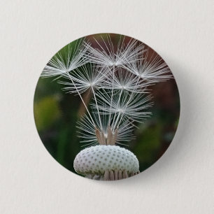 Badge Rond 5 Cm Graines de pissenlit délicates