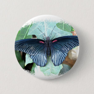 Badge Rond 5 Cm Grand papillon Mormon-Tropical