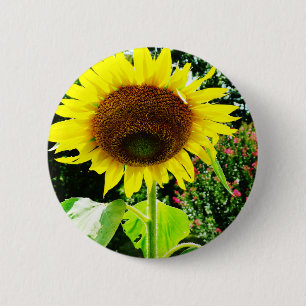 Badge Rond 5 Cm Grand tournesol jaune