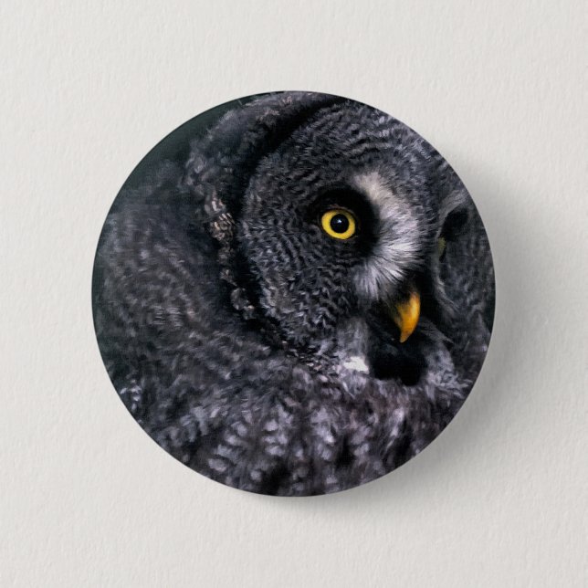 Badge Rond 5 Cm Grande Chouette grise (Devant)