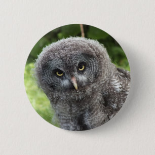 BADGE ROND 5 CM GRAY OWL