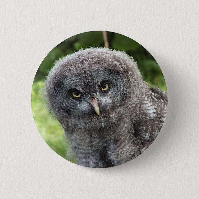 BADGE ROND 5 CM GRAY OWL (Devant)