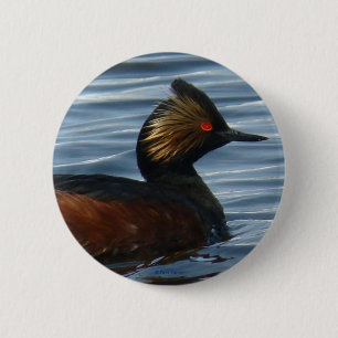 Badge Rond 5 Cm Grèbe à oreilles B13