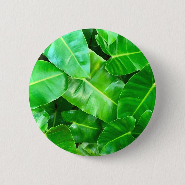 Badge Rond 5 Cm Green feuille Palm Leaf feuillage tropical jungle (Devant)