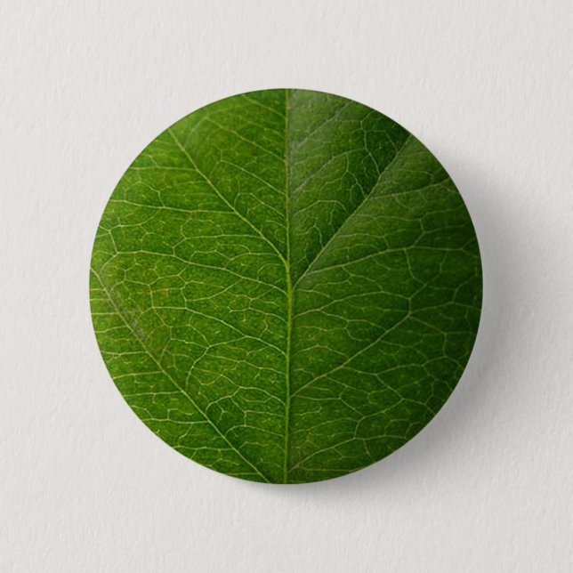 Badge Rond 5 Cm Green leaf (Devant)