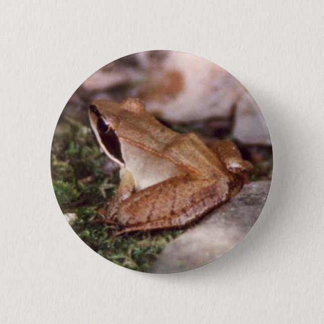 Badge Rond 5 Cm Grenouille à bois (Devant)