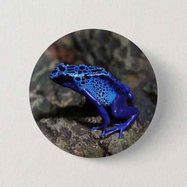 Badge Rond 5 Cm Grenouille à tarte à poison bleu, grenouille bleue (Devant)