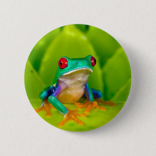 Badge Rond 5 Cm Grenouille aux yeux rouges, Costa Rica