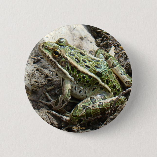 Badge Rond 5 Cm Grenouille léopard R3 (Devant)