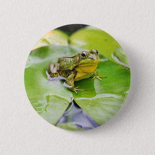 Badge Rond 5 Cm Grenouille sur feuille de nénuphar