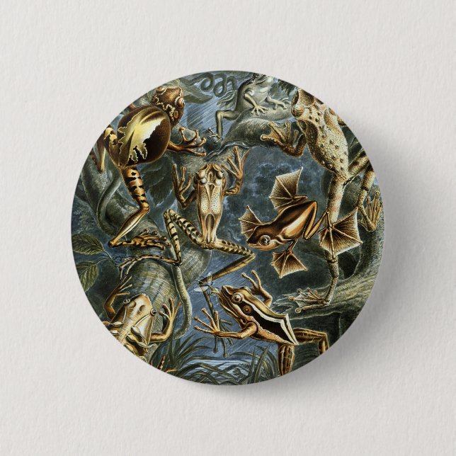 Badge Rond 5 Cm Grenouilles (Devant)