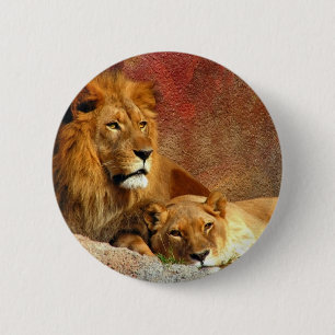 Badge Rond 5 Cm Gros Chats - 6