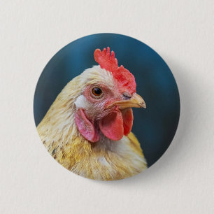 Badge Rond 5 Cm Gros plan du poulet