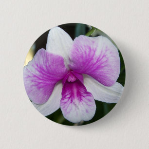 Badge Rond 5 Cm gros plan d'une belle orchidée violette et blanche