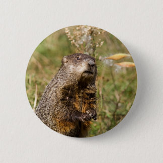 Badge Rond 5 Cm Groundhog