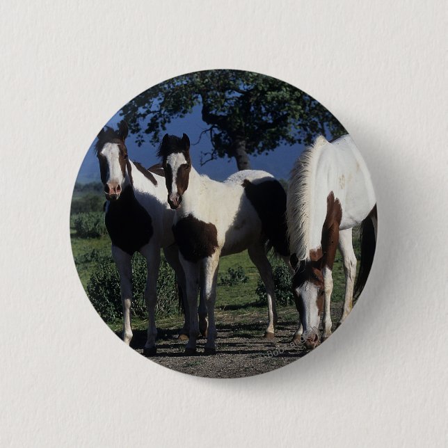 Badge Rond 5 Cm Groupe de chevaux de peinture (Devant)