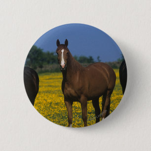 Badge Rond 5 Cm Groupe de chevaux de pur sang