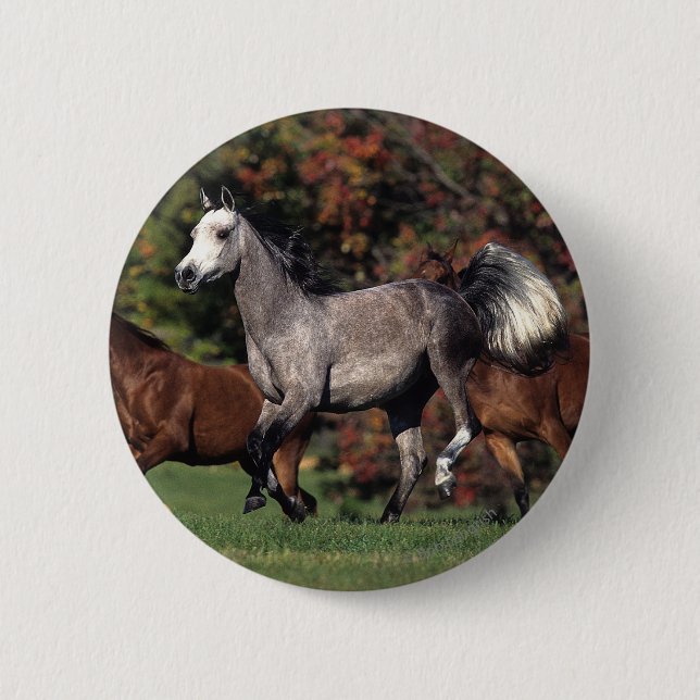Badge Rond 5 Cm Groupe de fonctionnement arabe de chevaux (Devant)