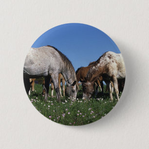 Badge Rond 5 Cm Groupe de pâturage de chevaux d'Appaloosa