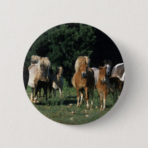Badge Rond 5 Cm Groupe de poulains miniatures