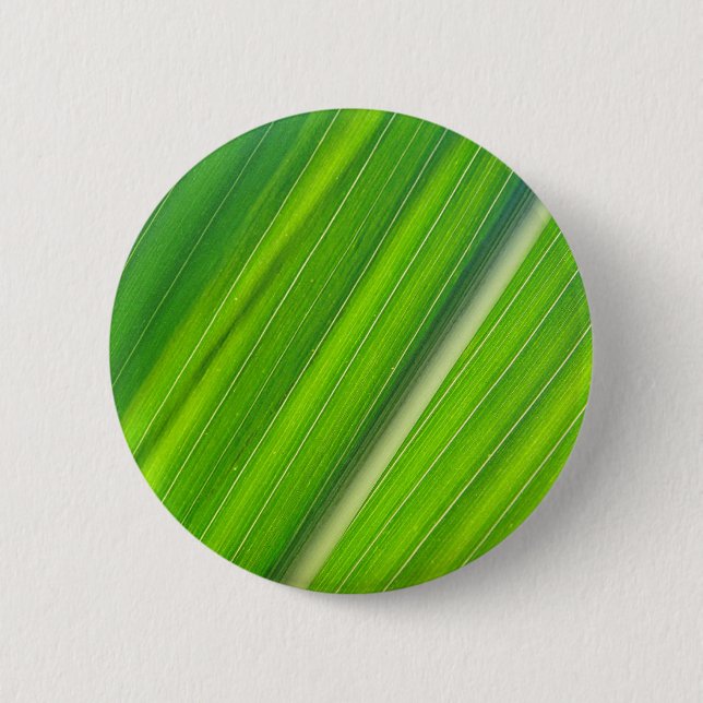 Badge Rond 5 Cm Grünes Maisblattdesign (Devant)