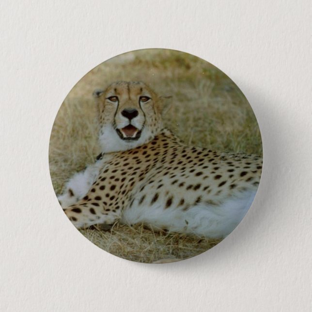 Badge Rond 5 Cm Guépard (Devant)
