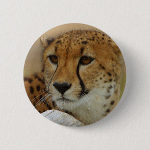 Badge Rond 5 Cm Guépard