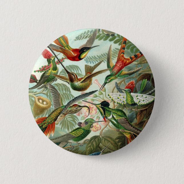 Badge Rond 5 Cm Haeckel (Devant)