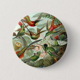 Badge Rond 5 Cm Haeckel