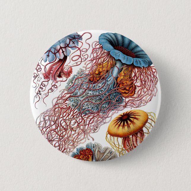 Badge Rond 5 Cm Haeckel Discomedusae (Devant)