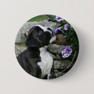 Badge Rond 5 Cm Halètement de chien de boxeur