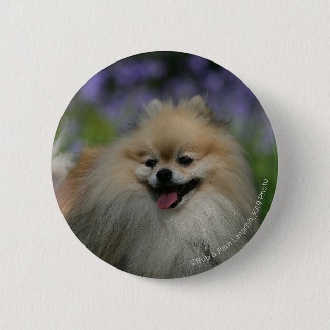 Badge Rond 5 Cm Halètement de Pomeranian (Devant)