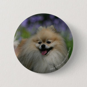 Badge Rond 5 Cm Halètement de Pomeranian