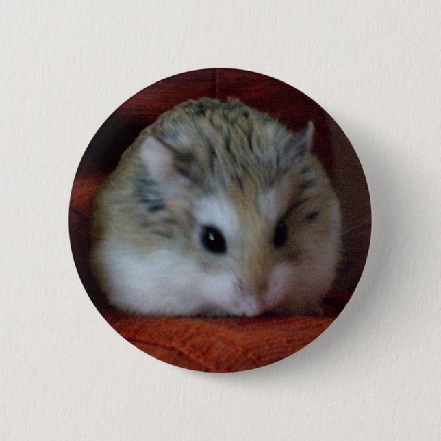 Badge Rond 5 Cm Hamster mignon sur un bouton - Hammy (Devant)
