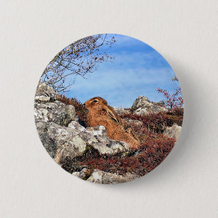 BADGE ROND 5 CM HARE