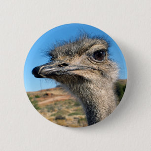 Badge Rond 5 Cm Harry the Happy Ostrich