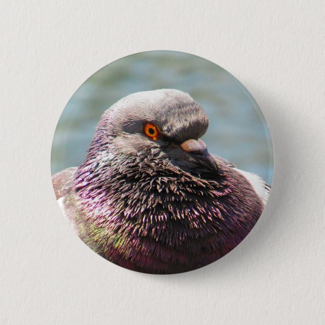 Badge Rond 5 Cm Haut étroit de pigeon (Devant)